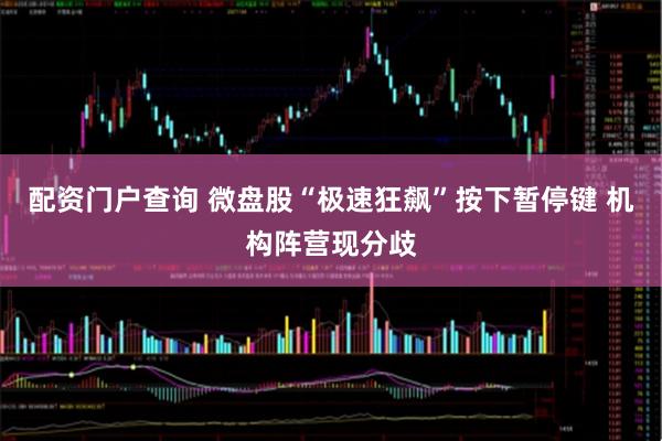 配资门户查询 微盘股“极速狂飙”按下暂停键 机构阵营现分歧